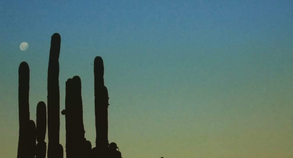 Una noche en el monte catamarqueño